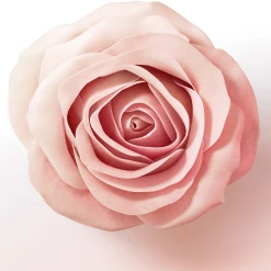 Pantene Pro-V Miracles Lift & Volume Haarverdickende Pflegespülung -Dresdner Essenz shop MAM 10416594 SHOP IMAGE 1.4