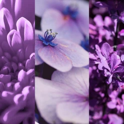 8x4 Deodorant Spray N°4 Vibrant Flower -Dresdner Essenz shop MAM 7311465 SHOP IMAGE 1.4