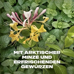 Axe Deo & Body Spray Recharge Sport Refresh -Dresdner Essenz shop MAM 7884356 SHOP IMAGE 1.4