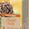 Kneipp Sauna Aufguss Auszeit Pur -Dresdner Essenz shop MAM 7934059 SHOP IMAGE 1.4
