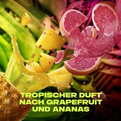 Axe 3in1 Duschgel Epic Fresh Fresh Boost -Dresdner Essenz shop MAM 8357938 SHOP IMAGE 1.4