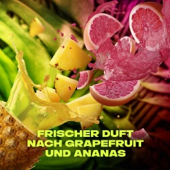 Axe Deo & Body Spray Epic Fresh -Dresdner Essenz shop MAM 8383911 SHOP IMAGE 1.4