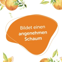 Alterra NATURKOSMETIK Festes Shampoo Bio-Orange & Bio-Vanille -Dresdner Essenz shop MAM 8397361 SHOP IMAGE 1.4