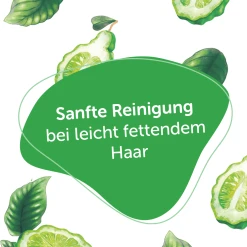 Alterra NATURKOSMETIK Festes Shampoo Bio-Bergamotte & Bio-Olive -Dresdner Essenz shop MAM 8397368 SHOP IMAGE 1.4