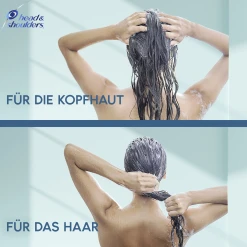 Head & Shoulders DERMAXPRO Repair Haar- & Kopfhautpflegespülung -Dresdner Essenz shop MAM 8446129 SHOP IMAGE 1.4