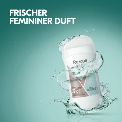 Rexona Maximum Protection Anti-Transpirant Stick -Dresdner Essenz shop MAM 8518565 SHOP IMAGE 1.4