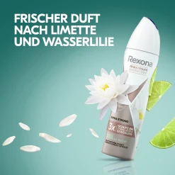 Rexona Anti-Transpirant Deo Spray Maximum Protection Lime & Waterlily Scent -Dresdner Essenz shop MAM 8548563 SHOP IMAGE 1.4