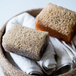 Lifsu Granatapfel Duschseife Mit Luffa -Dresdner Essenz shop MAM 9616697 SHOP IMAGE 1.4